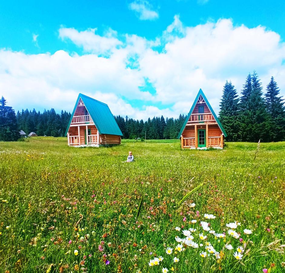 Etno House Uskoci Pensjonat Žabljak Zewnętrze zdjęcie